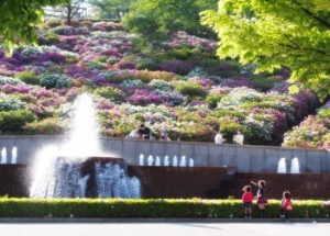 西山公園 福井県鯖江市 つつじまつりに行ってきた 富山やちゃ