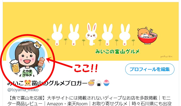 ココナラ体験談 ブログアイコン依頼してみた 好印象につながるｓｎｓアイコンの依頼の手順をまとめてみたよ 富山やちゃ